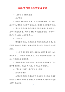 2025年市审工作计划及要点
