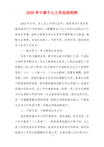 2025年干部个人工作总结范例