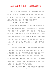 2025年度企业领导个人述职述廉报告