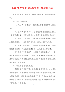 2025年度党委书记抓党建工作述职报告