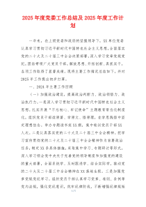 2025年度党委工作总结及2025年度工作计划