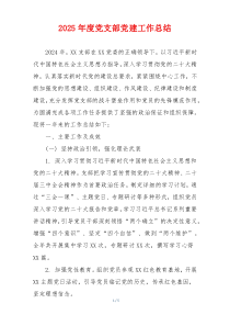 2025年度党支部党建工作总结