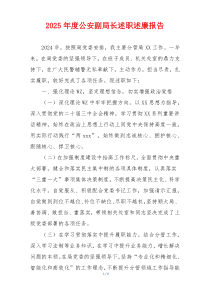 2025年度公安副局长述职述廉报告