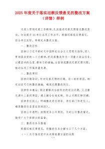 2025年度关于落实巡察反馈意见的整改方案（详情）样例