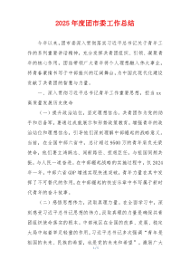 2025年度团市委工作总结