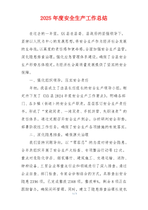 2025年度安全生产工作总结