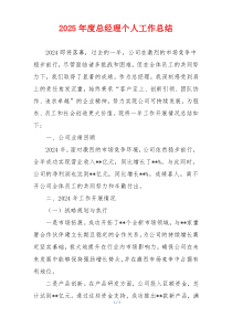2025年度总经理个人工作总结