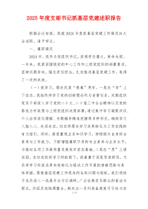 2025年度支部书记抓基层党建述职报告