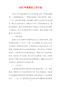 2025年度普法工作计划