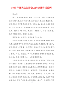 2025年度民主生活会上的点评讲话范例