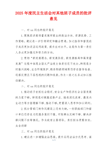 2025年度民主生活会对其他班子成员的批评意见