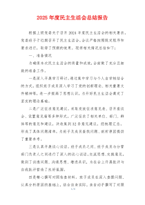 2025年度民主生活会总结报告