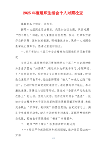2025年度组织生活会个人对照检查