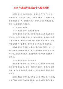 2025年度组织生活会个人检视材料