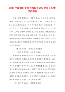 2025年度组织生活会和民主评议党员工作情况的报告
