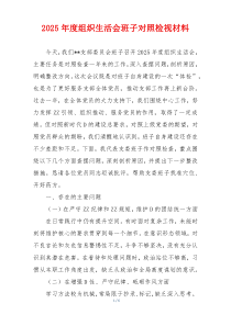 2025年度组织生活会班子对照检视材料