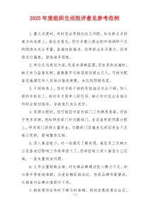 2025年度组织生活批评意见参考范例