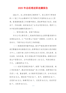 2025年总经理述职述廉报告