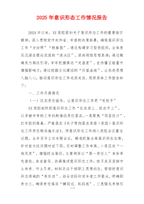 2025年意识形态工作情况报告