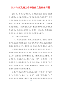 2025年抓党建工作特色亮点及存在问题