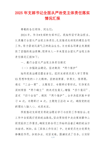 2025年支部书记全面从严治党主体责任落实情况汇报