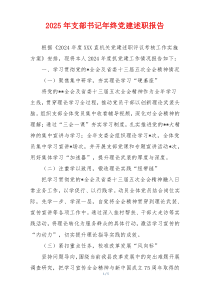 2025年支部书记年终党建述职报告