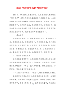 2025年政治生态研判分析报告