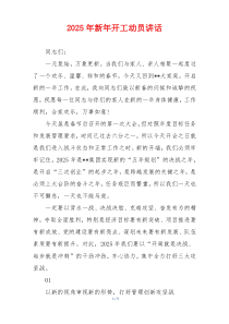 2025年新年开工动员讲话