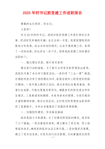 2025年村书记抓党建工作述职报告