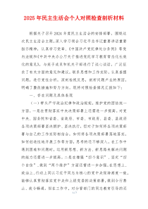 2025年民主生活会个人对照检查剖析材料