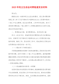 2025年民主生活会对照检查发言材料