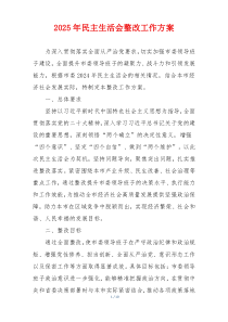 2025年民主生活会整改工作方案