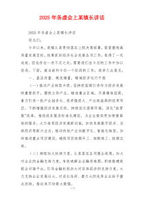 2025年务虚会上某镇长讲话