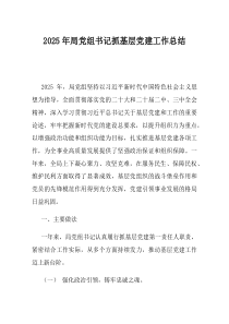 2025年局党组书记抓基层党建工作总结(资料)