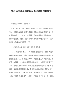 2025年度税务局党组织书记述职述廉报告(资料)