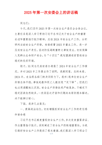2025年第一次安委会上的讲话稿