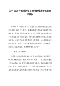 关于2025年县委巡察反馈问题整改情况的自评报告(资料)