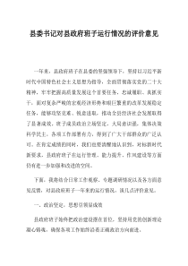 县委书记对县政府班子运行情况的评价意见(资料)