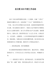 县文联2025年度工作总结(资料)