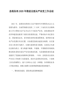 县税务局2025年推进全面从严治党工作总结(资料)