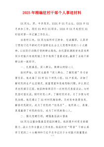 2025年精编驻村干部个人事迹材料