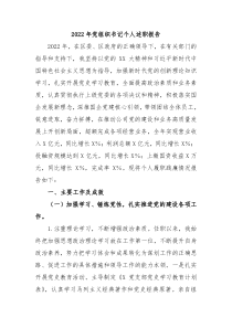 20XX年党组织书记个人述职报告