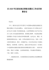 在2025年区委巡视反馈意见整改工作动员部署讲话(资料)