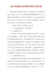 2025年纪检工作存在不足及工作计划