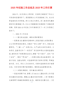 2025年纪检工作总结及2025年工作打算