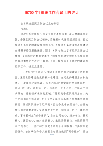 [5700字]组织工作会议上的讲话