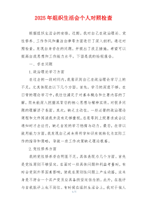 2025年组织生活会个人对照检查