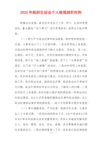 2025年组织生活会个人检视剖析材料
