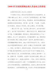 [8600字]在政府系统全体人员会议上的讲话