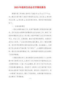 2025年组织生活会召开情况报告